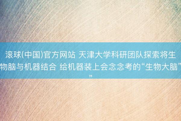 滚球(中国)官方网站 天津大学科研团队探索将生物脑与机器结合 给机器装上会念念考的“生物大脑”