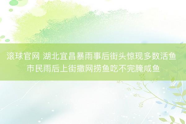 滚球官网 湖北宜昌暴雨事后街头惊现多数活鱼 市民雨后上街撒网捞鱼吃不完腌咸鱼