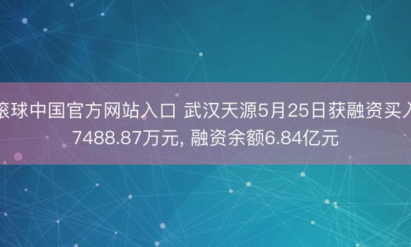 滚球中国官方网站入口 武汉天源5月25日获融资买入7488.87万元， 融资余额6.84亿元