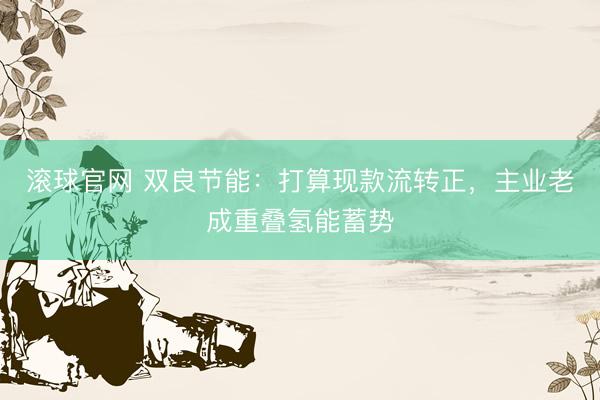 滚球官网 双良节能：打算现款流转正，主业老成重叠氢能蓄势