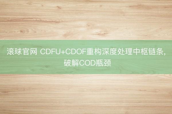 滚球官网 CDFU+CDOF重构深度处理中枢链条， 破解COD瓶颈