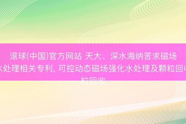 滚球(中国)官方网站 天大、深水海纳苦求磁场水处理相关专利， 可控动态磁场强化水处理及颗粒回收