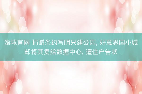 滚球官网 捐赠条约写明只建公园， 好意思国小城却将其卖给数据中心， 遭住户告状