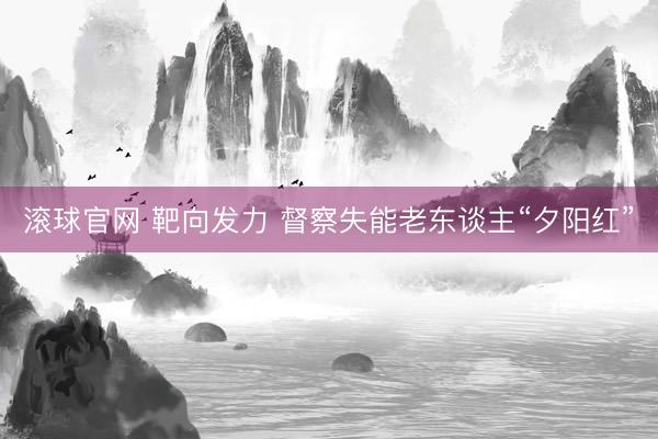 滚球官网 靶向发力 督察失能老东谈主“夕阳红”