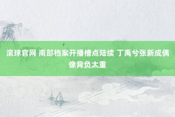 滚球官网 南部档案开播槽点陆续 丁禹兮张新成偶像背负太重