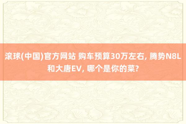 滚球(中国)官方网站 购车预算30万左右， 腾势N8L和大唐EV， 哪个是你的菜?